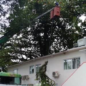 oitavo Slide
