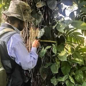 oitavo Slide