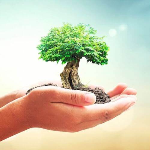 Azure ambiental