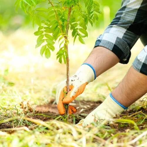 Azure ambiental